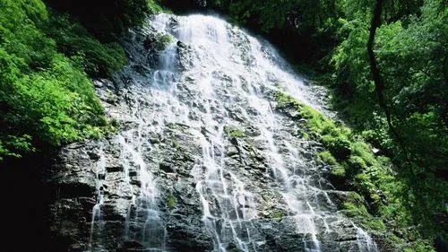 高效稳定性